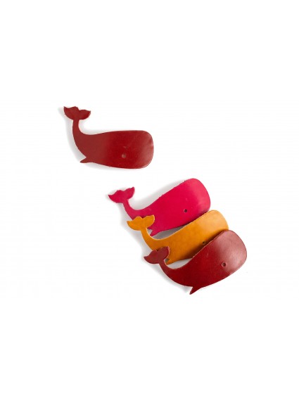 Hairclips baleine all colors